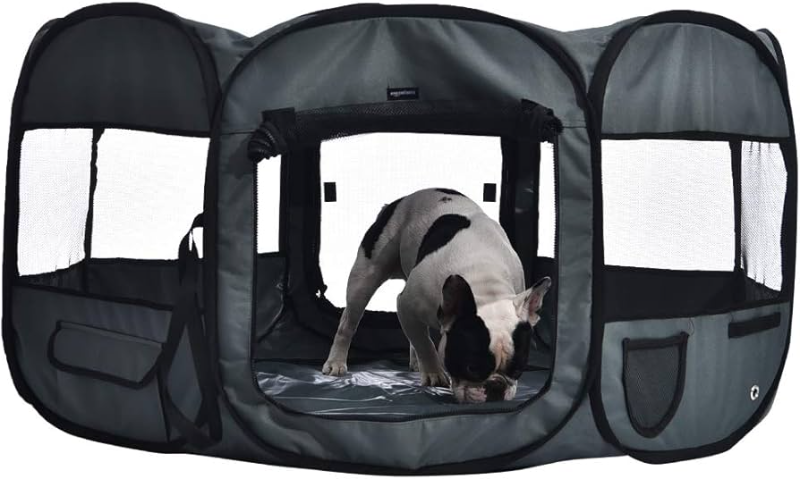 Offerte Prodotti per Animali Domestici: Come Risparmiare su Cibo, Accessori e Cura