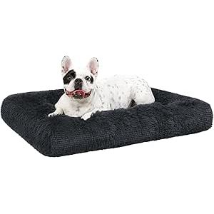 Cuscino per Cani Taglia Media