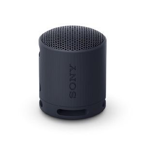 Sony SRS-XB100