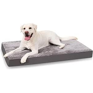 KSIIA Cuscino per Cani Taglia Grande