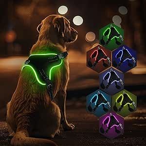 RUXAN Cinturino Luminoso per Cani