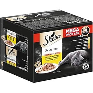Sheba Selection in salsa