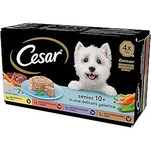 Cesar Senior da 10 in Su
