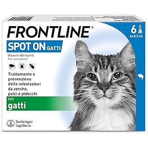 FRONTLINE Spot On, 6 Pipette, Gatto
